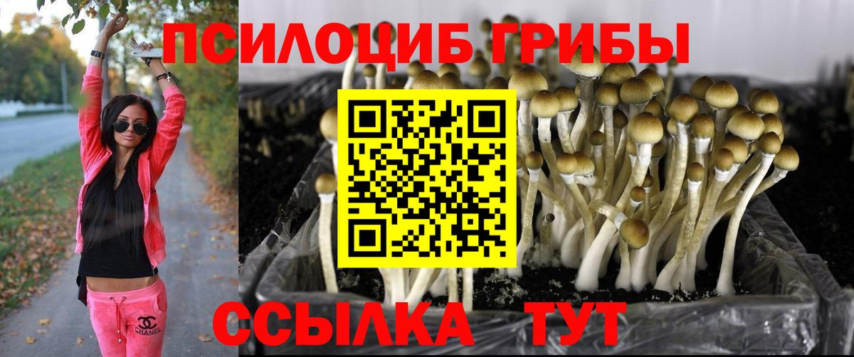 Псилоцибиновые грибы MAGIC MUSHROOMS Котовск